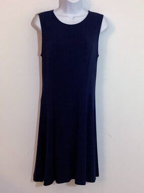 Sleeveless Dress Small Navy Curve Hugging Chic Timeless Minimal Wardrobe Staple